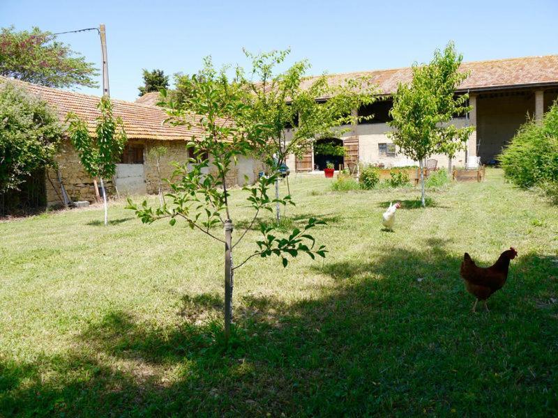 Ferme St Pierre 2 Suites Avec Repas, Piscine, Clim, Cheminee Ou Baignoire Spa 沙伯伊 外观 照片