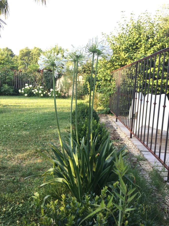 Ferme St Pierre 2 Suites Avec Repas, Piscine, Clim, Cheminee Ou Baignoire Spa 沙伯伊 外观 照片